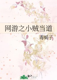網遊之小賊當道