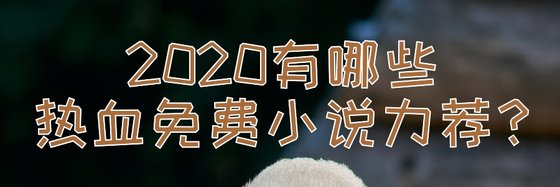 2020有哪些熱血免費小說力薦？