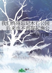 我们终将忘记木石公园，后来也不再提起施公南路
